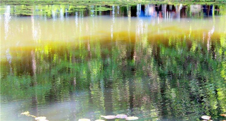 Я к Вам лечу воспоминаньем...Пушкинский праздник поэзии в Берново, 2019 год