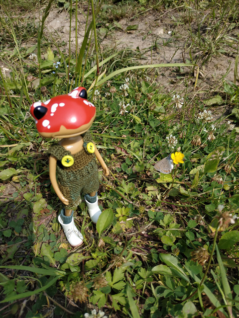 Wonderfrog. Красота в простоте