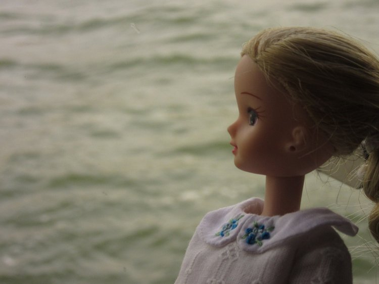 По Дону гуляет теплоход — Куклы Takara Tomy (Такара): Licca (Ликка) (фото 10)