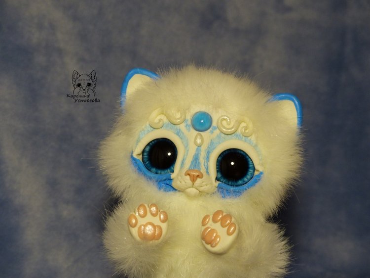 Королевские волшебные коты, породы: Мирис. В кадре и за кадром. Процесс