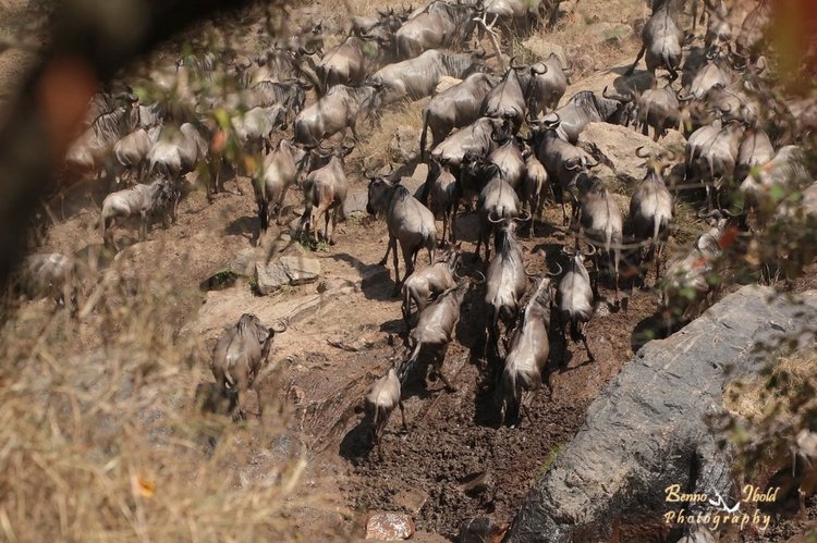 Любителям природы - профессиональные фотографии (выпуск 4)