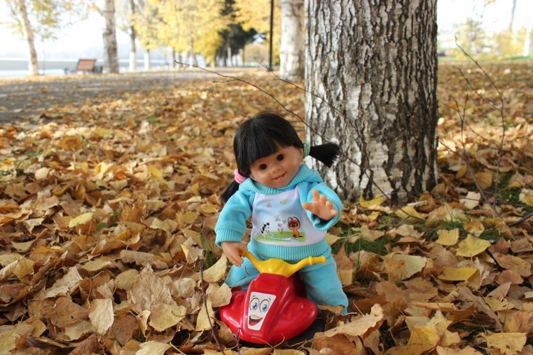 Осень моих вихтелят 2 — Куклы Rosemarie Anna Muller (Мюллер): Вихтели (Wichtel) (фото 6)