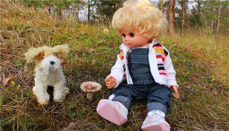 Гришутка — Винтажные куклы ГДР (Немки): Бигги