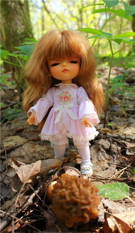 Путешествие Софи в Старицу. Lati HoneyBee New Mystic Sophie