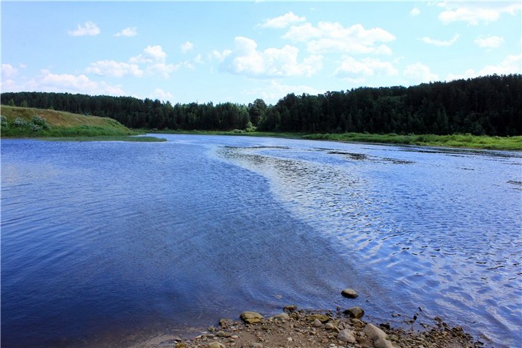 Путешествие Катрин. Katrin, Stoffpuppe Doll, Kathe Kruse (фото 8)