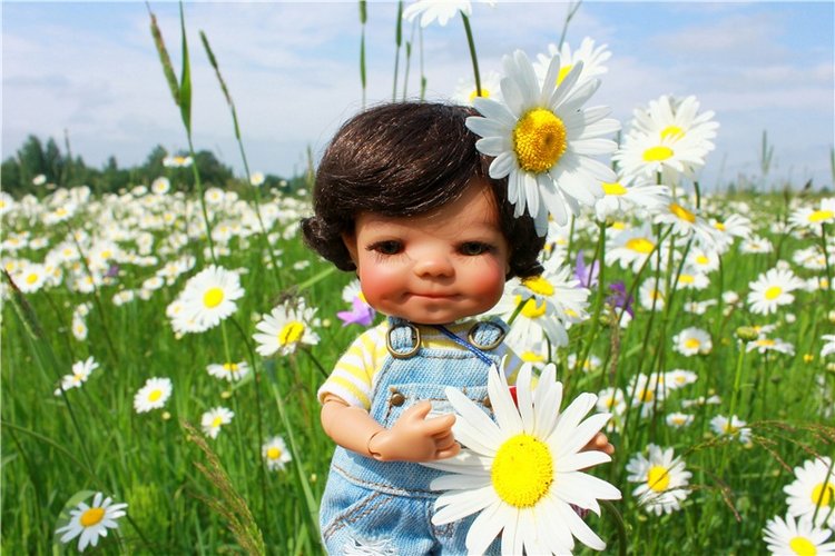 Ромашковый Июнь — Куклы Meadow dolls (Медовушки): BJD (БЖД)
