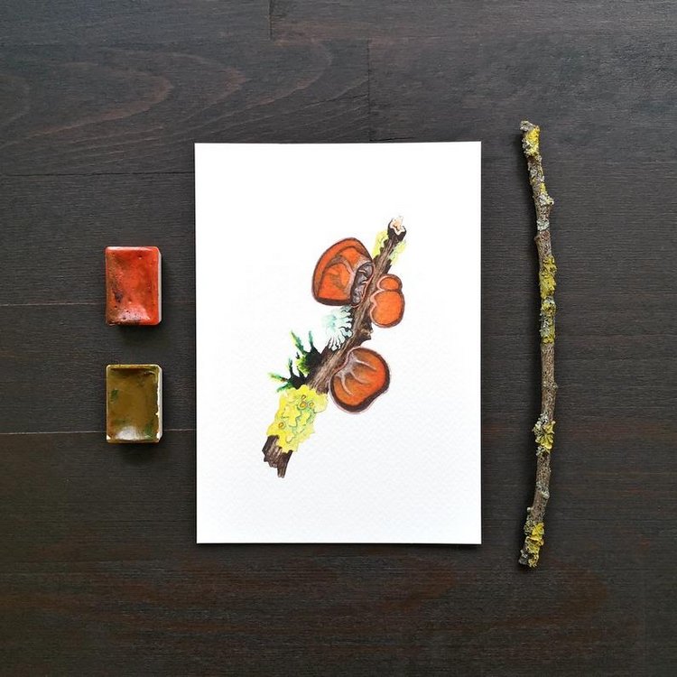 SnailMaidenStudio - Акварельные иллюстрации маленьких живых существ (фото 7)