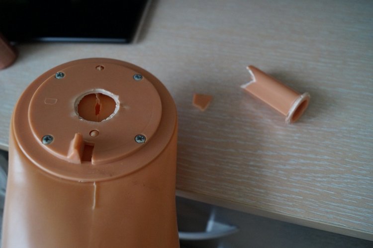 Ура! Суббота! Выписка куколок