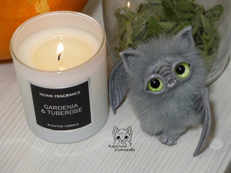 Летучие мышки летят на хеллоуин (фото 9)