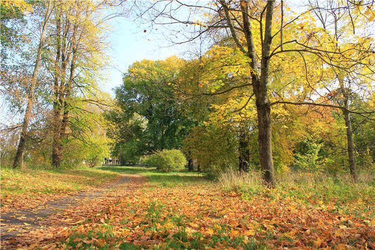 Путешествие Dal Hangry в Грузины, продолжение