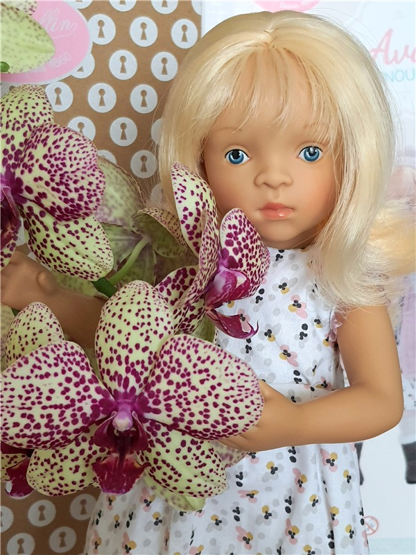 Ava. Petitcollin Minouche Ava