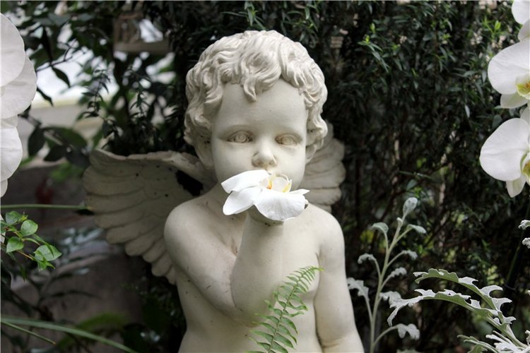 Тверской Ботанический Сад