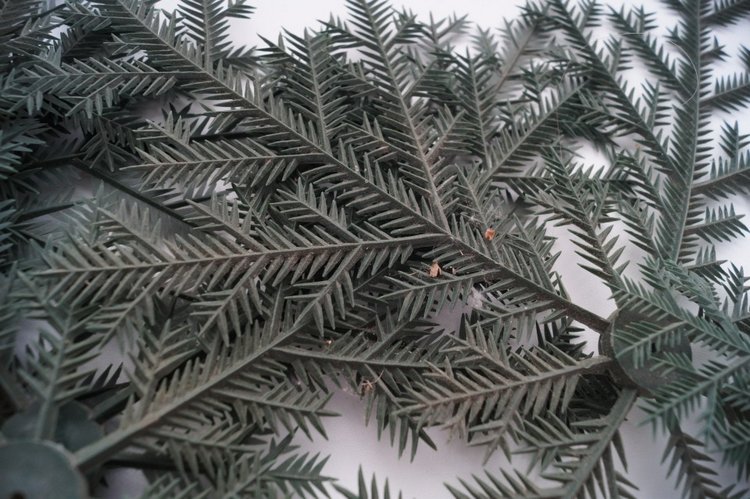 Третья выписка декабря. Ещё одна ёлочка здорова! Как починить шейное крепление кукломужчины (мои ошибки и способы их