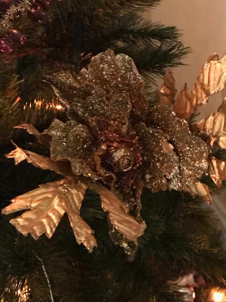 Что растет на елке — Болталка и разговоры обо всем: жизнь (фото 6)