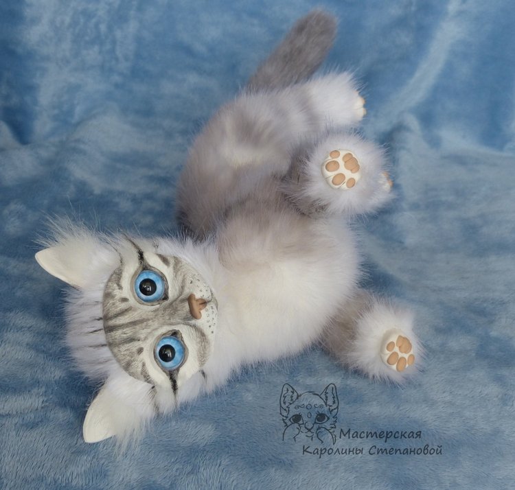 Невские Маскарадные коты серебристого окраса и Совята
