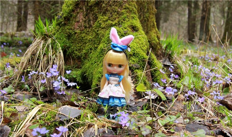 Застенчивая Алиса. Middie Blythe Doll Pebble Cakes & Shrinking Alice (фото 10)