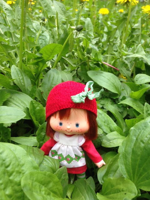 Весенне-земляничное настроение (фото 4)