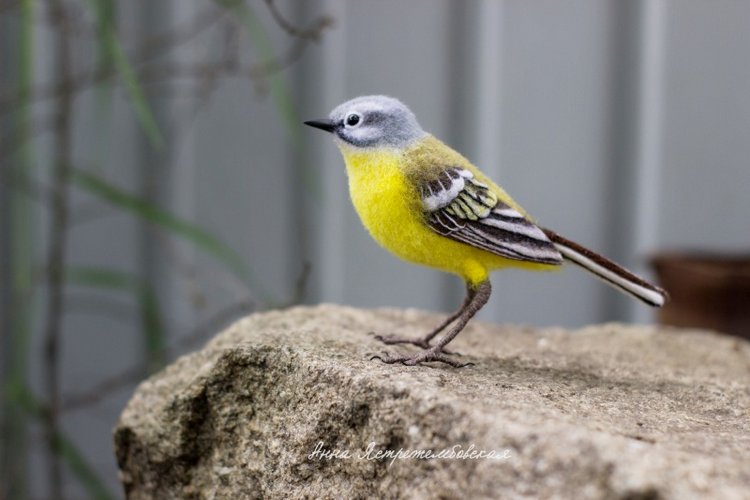 Жёлтая трясогузка — Валяные игрушки из шерсти: сухое валяние (фото 5)