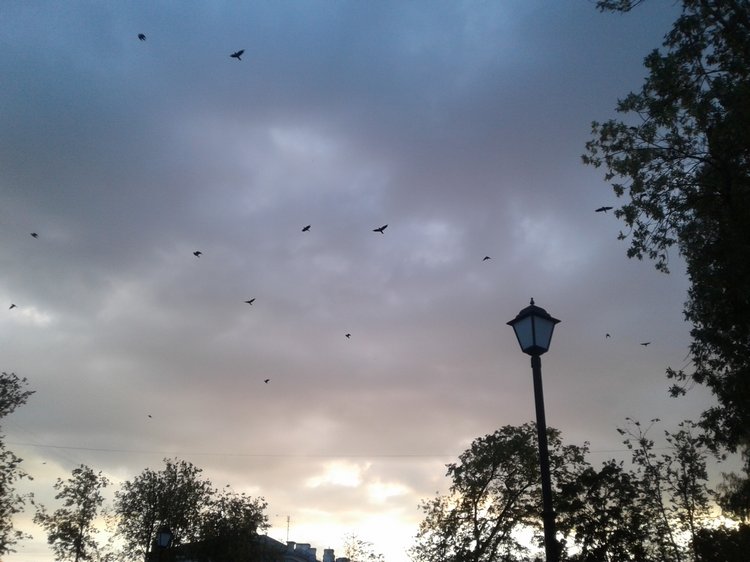 Наше лето 2: Псков, День Города! Прогулка с Донной. Новые куклы в подарок (ура!!!) (фото 10)