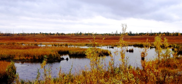 Осенний пейзаж — Туризм и путешествия: фотоотчеты из поездок (фото 2)