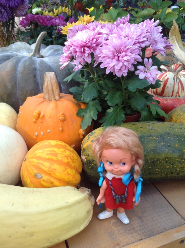 Аптекарский огород сегодня. ч.5. Грибной фестиваль