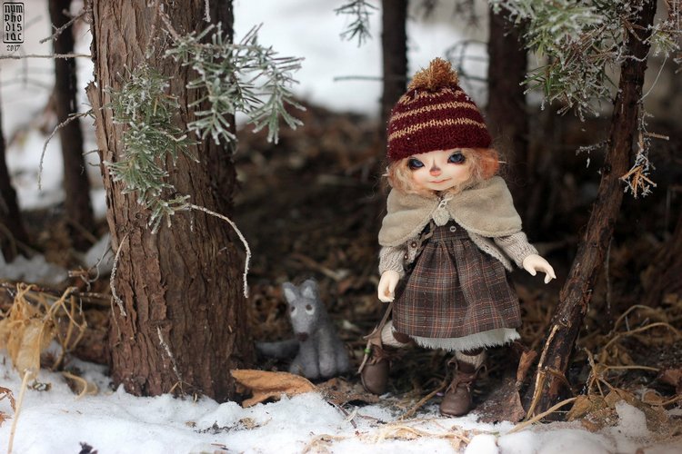 Зимние прогулки с Корицей, Мией и Волчком