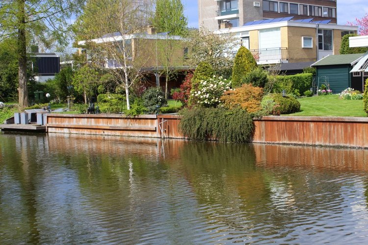 Цветущая Сакура. Прогулка по парку с Алисой. Весенние зарисовки