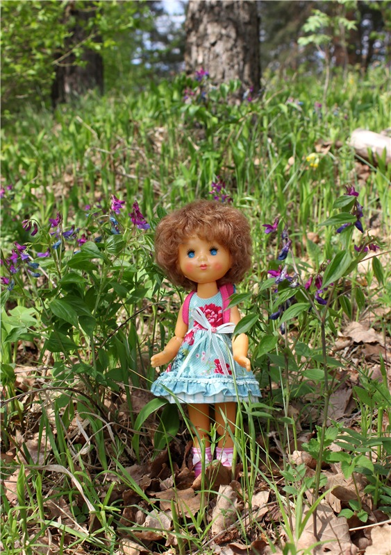 Женя-путешественница — Советские винтажные куклы (СССР): Ленигрушка