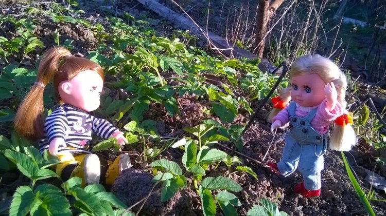 Галинка с Полинкой во саду ли в огороде