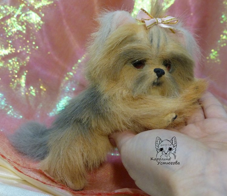 Еще один щенок Йоркширского терьера