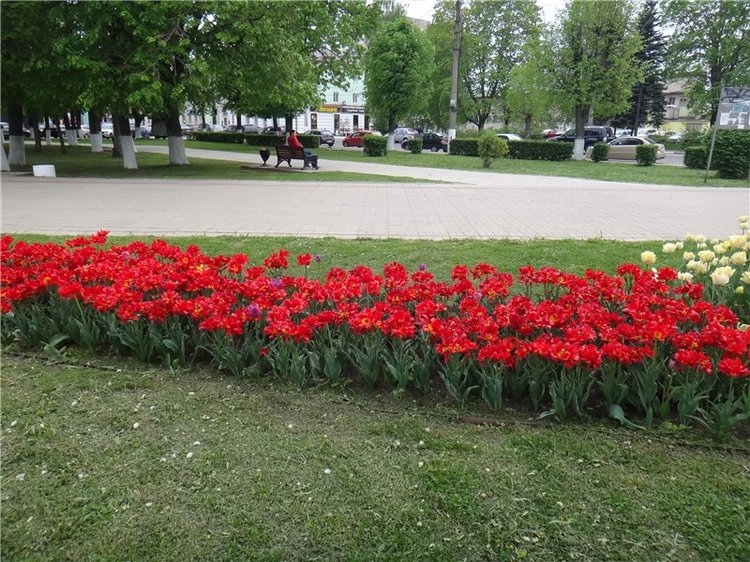 Милый мой город. Прогулка по Твери, продолжение