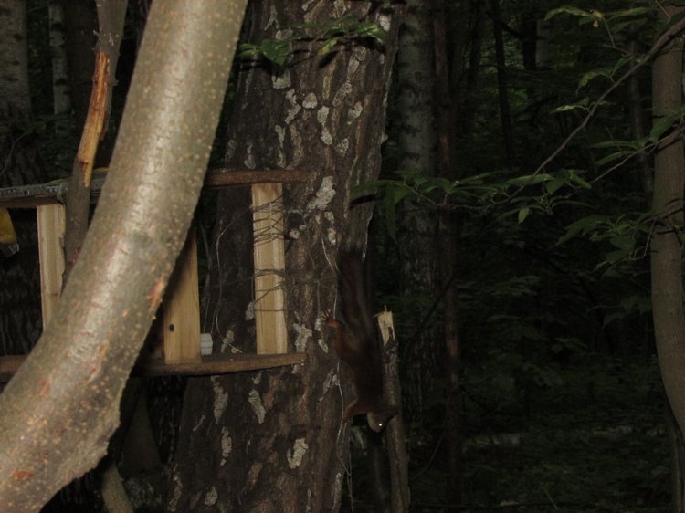 Веселое путешествие по Парку Измайлово