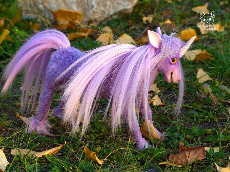 Единорог-страна мечты. Осеняя прогулка