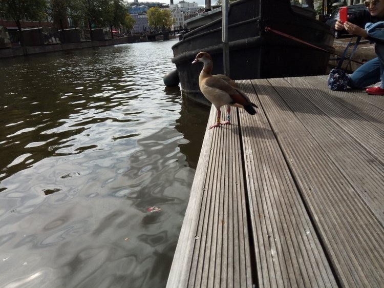 Тур по Европе или долгожданный подарок самой себе. Часть 5