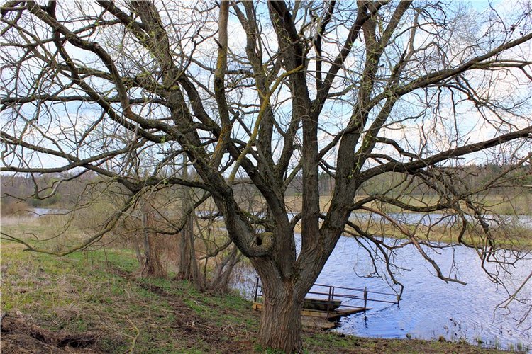 Савватьева Пустынь, Тверская область