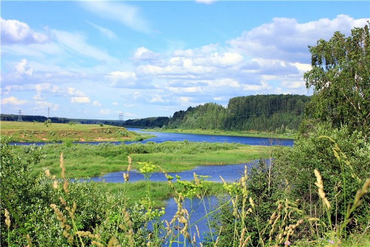 Путешествие Эли на красивый берег реки Волги