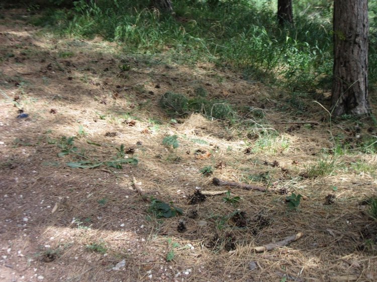 Горячее солнышко Кисловодска