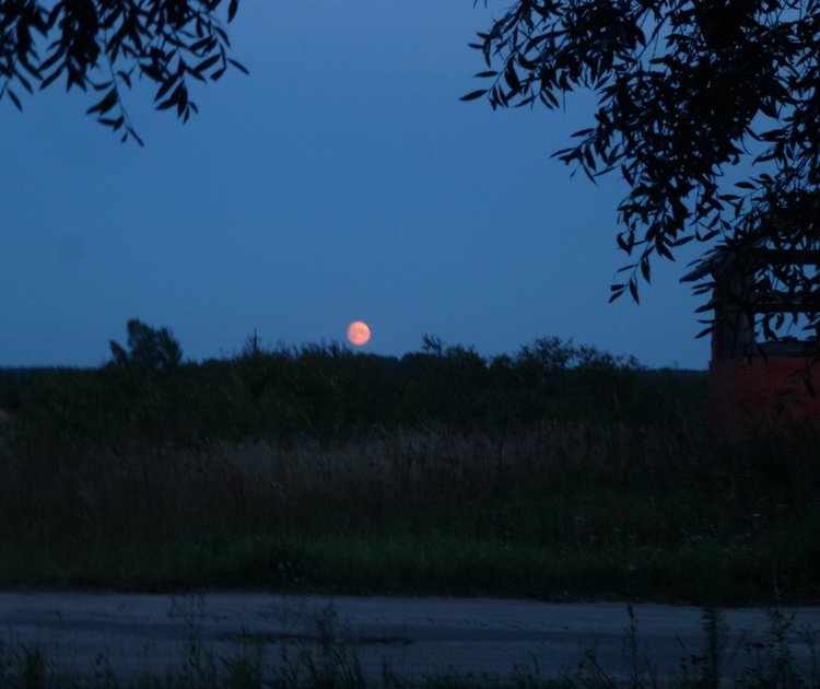 Отдых в деревне с Джой — Туризм и путешествия: фотоотчеты из поездок
