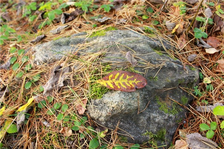 Путешествие Имани на Волгу, продолжение. Mini Imani от Kaye Wiggs