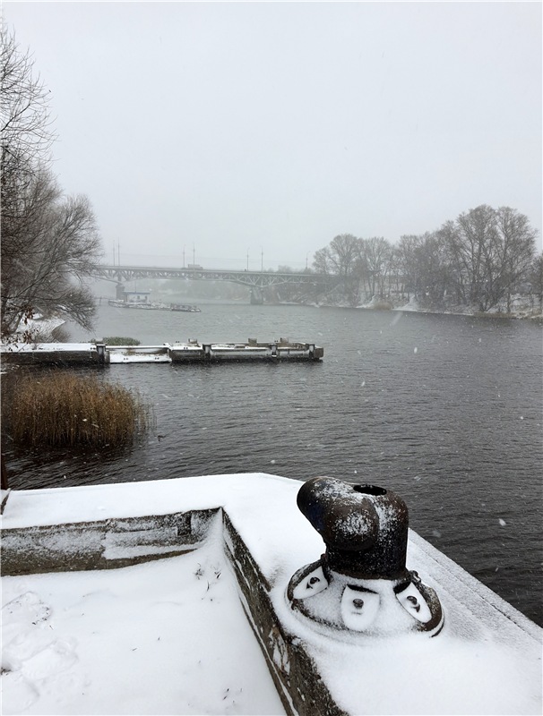 Непогода нынче в моде — Куклы Meadow dolls (Медовушки): BJD (БЖД)