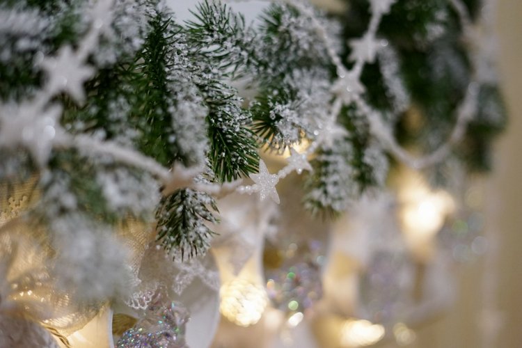 Белоснежный Новый год — Другие хобби и увлечения: сад (фото 6)