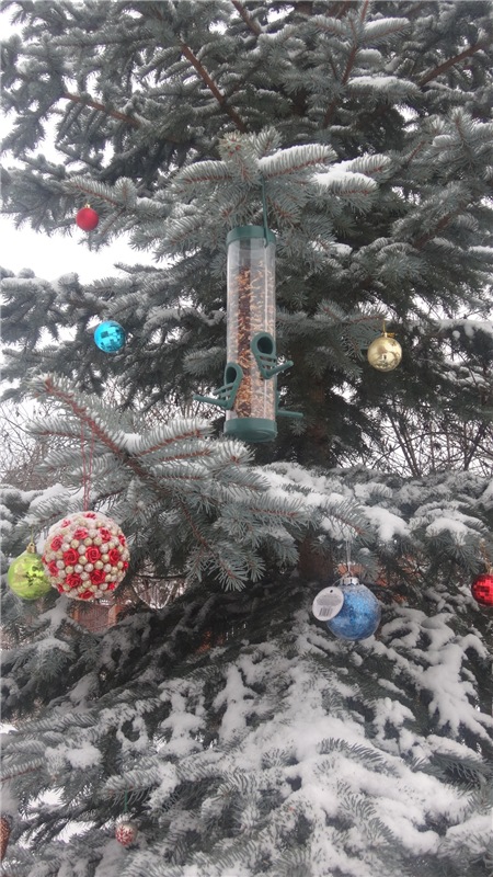 Счастье есть! Продолжение