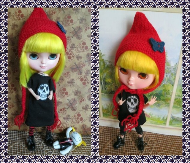 Моя Бегония совсем не цветок (фото 8)