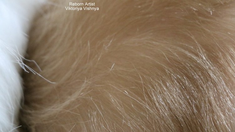 Даклин... куколка реборн Виктории Вишни