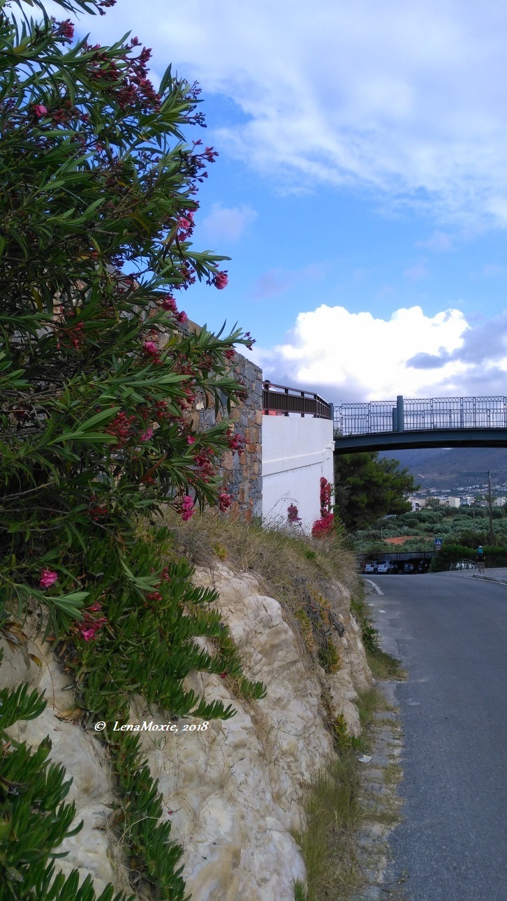 Kidz' тур. Нико на Крите. Херсониссос