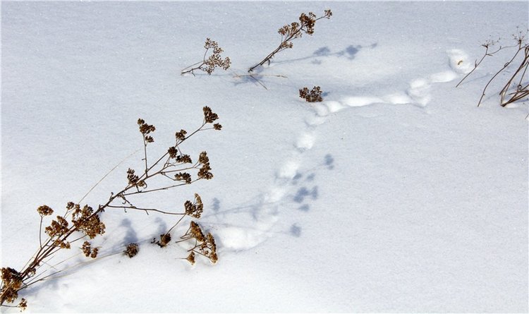 Зимняя прогулка Сони. Уникальная кукла от Сильвии Наттерер
