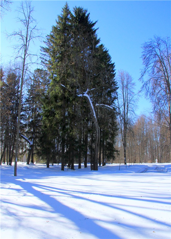 Снежный Март — Туризм и путешествия: фотоотчеты из поездок