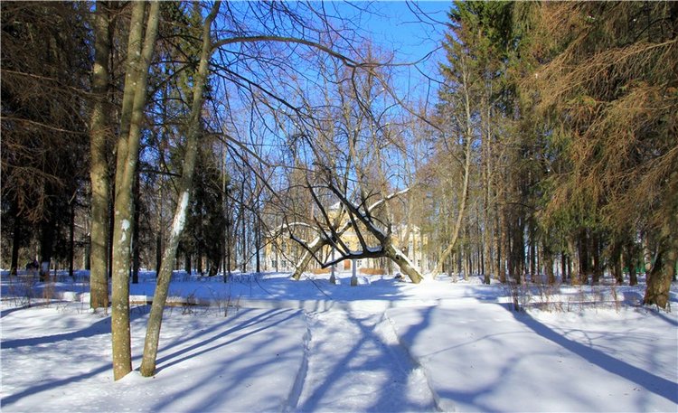 Снежный Март — Туризм и путешествия: фотоотчеты из поездок