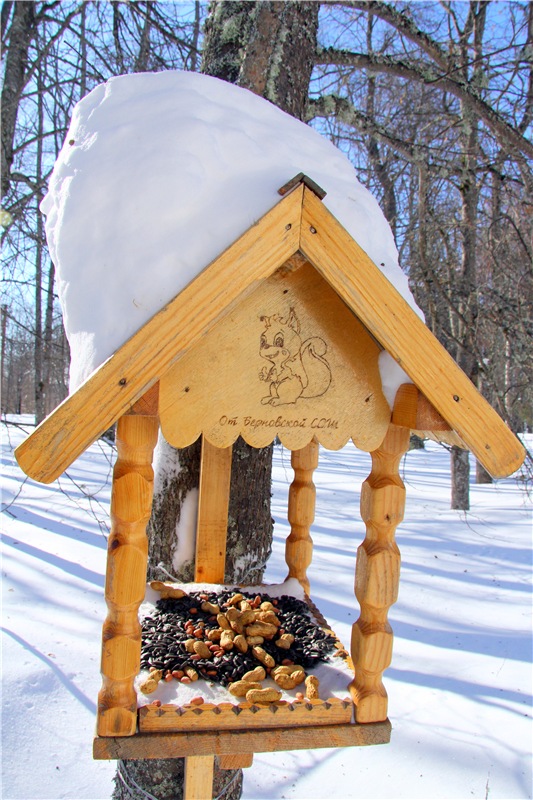 Снежный Март — Туризм и путешествия: фотоотчеты из поездок