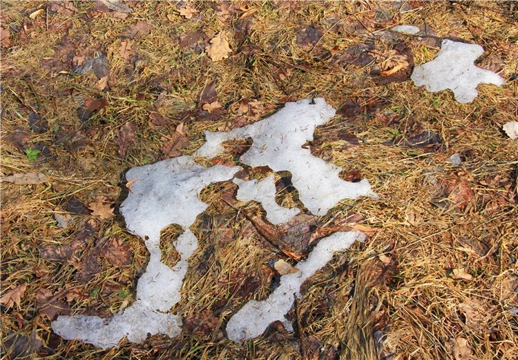 Апрельский день в Василёво, заключительная часть (фото 4)